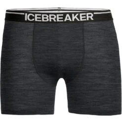 Icebreaker Anatomica Boxers Men - Jet HTHR