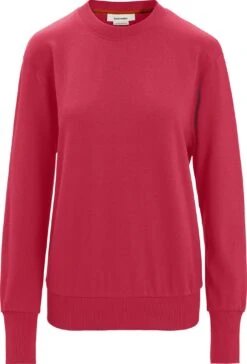 Icebreaker -Icebreaker ICE 0A56L2 7ECherry