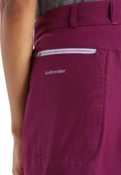 Icebreaker Hike Shorts - Women's|-|Short Hike - Femme 29 Icebreaker Hike Shorts - Women's|-|Short Hike - Femme -Icebreaker ICE 0A56MP 7E 7EDetail3 20Go 20Berry