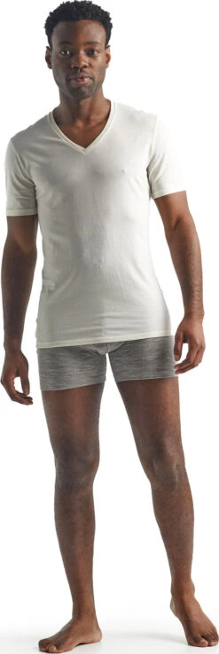 Icebreaker Anatomica Short Sleeve V-Neck T-Shirt - Men's|-|T-Shirt à Col V Anatomica - Homme -Icebreaker ICE 103661 7E 7EStandard 20Outfit 20FW19 20 20Snow