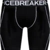 Icebreaker Anatomica Zone Long Boxers - Men's|-|Boxeur Long Anatomica Zone - Homme -Icebreaker ICE 104114 7EBlack 20 20White