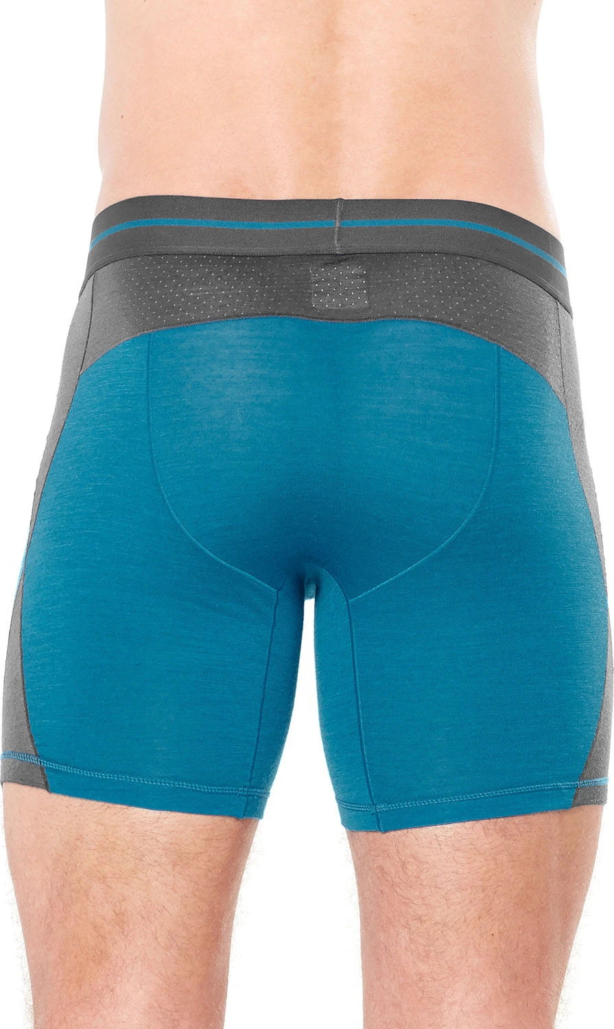 Icebreaker Anatomica Zone Long Boxers - Men's|-|Boxeur Long Anatomica Zone - Homme 12 Icebreaker Anatomica Zone Long Boxers - Men's|-|Boxeur Long Anatomica Zone - Homme - Image 10