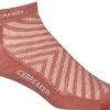 Icebreaker Run+ Ultra Light Micro - Men's|-|Chaussettes Run+ Ultra Light Micro - Homme -Icebreaker ICE 104212 7EGrape 20 20Haze