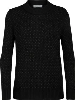 Icebreaker Waypoint Crewe Sweater (Past Season) - Women's|-|Chandail Waypoint Crewe (saison Précédente) - Femme