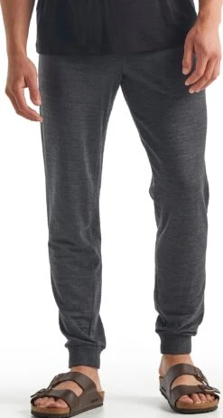 Icebreaker Shifter Pants - Men's|-|Pantalon Shifter - Homme -Icebreaker ICE 104345 7E 7EFront 20Jet 20Heather 20 20011