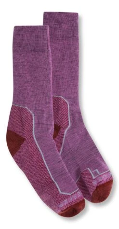 Icebreaker Hike+ Medium Crew Socks - Women's|-|Chaussettes Hike+ Medium Crew - Femme 18 Icebreaker Hike+ Medium Crew Socks - Women's|-|Chaussettes Hike+ Medium Crew - Femme -Icebreaker ICE 105097 7ECosmic 20 20Grape 20 20Blizzard 20Heather 298ffefd 6b83 44b7 81be bf6255db1623