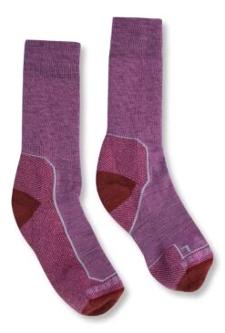 Icebreaker Hike+ Medium Crew Socks - Women's|-|Chaussettes Hike+ Medium Crew - Femme 20 Icebreaker Hike+ Medium Crew Socks - Women's|-|Chaussettes Hike+ Medium Crew - Femme -Icebreaker ICE 105097 7E 7EStudio 20Side 20Cosmic 20 20Grape 20 20Blizzard 20Heather