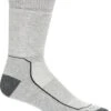 Icebreaker Hike+ Medium Crew Socks - Men's|-|Chaussettes Hike+ Medium Crew - Homme