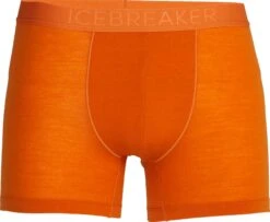 Icebreaker Anatomica Cool-Lite Boxers - Men's|-|Boxeur Cool Lite™ Anatomica - Homme 26 Icebreaker Anatomica Cool-Lite Boxers - Men's|-|Boxeur Cool Lite™ Anatomica - Homme -Icebreaker ICE 105246 7ESpice