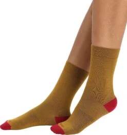Icebreaker Lifestyle Fine Gauge Crew Socks - Women's|-|Chaussettes Mi-mollet Lifestyle Fine Gauge - Femme -Icebreaker ICE 105253 7E 7ESide2 20Clove 20 20Cherry e548c5c5 79b4 4106 8e0f a3b7348bc4de