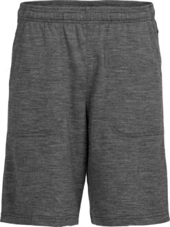 Icebreaker Shifter Shorts - Men's|-|Short Shifter - Homme
