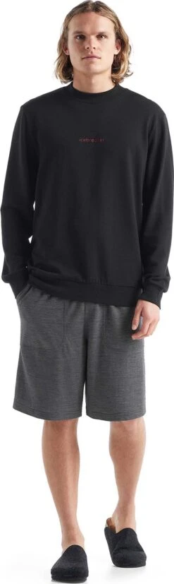 Icebreaker Shifter Shorts - Men's|-|Short Shifter - Homme 24 Icebreaker Shifter Shorts - Men's|-|Short Shifter - Homme -Icebreaker ICE IB0A56C4 7E 7EFront1 20Gritstone 20Heather