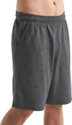 Icebreaker Shifter Shorts - Men's|-|Short Shifter - Homme 29 Icebreaker Shifter Shorts - Men's|-|Short Shifter - Homme -Icebreaker ICE IB0A56C4 7E 7ESide 20Gritstone 20Heather 39187be3 56f9 430a 8ca1 58f0b468cb89