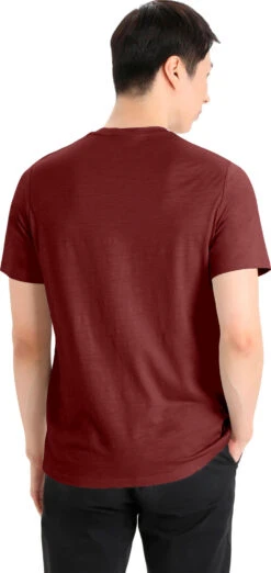 Icebreaker Tech Lite II Short Sleeve Tee - Men's|-|T-shirt à Manches Courtes Tech Lite II - Homme -Icebreaker ICE IB0A59IY 7E 7EBack 20Espresso e7bb6be9 76a5 4f00 b3b0 f122215bbb04