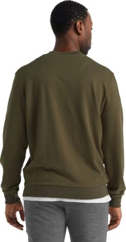 Icebreaker Central LS Sweatshirt - Men's|-|Chandail à Capuchon à Manches Longues Central - Homme -Icebreaker ICE IB0A59LG 7E 7EBack 20Loden