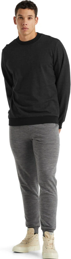 Icebreaker Central LS Sweatshirt - Men's|-|Chandail à Capuchon à Manches Longues Central - Homme -Icebreaker ICE IB0A59LG 7E 7EStandard 20Outfit 20Black