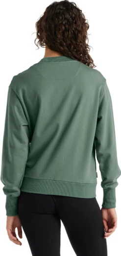 Icebreaker Central LS Sweatshirt - Women's|-|Chandail à Capuchon à Manches Longues Central - Femme -Icebreaker ICE IB0A59LW 7E 7EBack 20Sage 80daf5cd d8e1 4e42 aa00 f1b3b4f3df5c