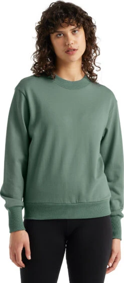 Icebreaker Central LS Sweatshirt - Women's|-|Chandail à Capuchon à Manches Longues Central - Femme -Icebreaker ICE IB0A59LW 7E 7EFront 20Sage