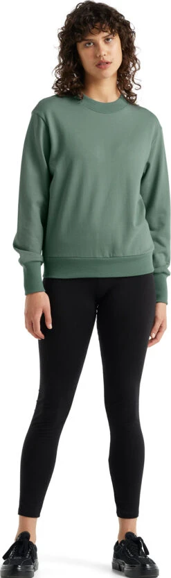 Icebreaker Central LS Sweatshirt - Women's|-|Chandail à Capuchon à Manches Longues Central - Femme -Icebreaker ICE IB0A59LW 7E 7EStandard 20Outfit 20Sage