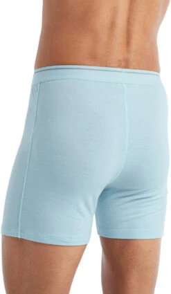 Icebreaker Anatomica Boxers With Fly - Men's|-|Boxeur Avec Ouverture Anatomica - Homme 38 Icebreaker Anatomica Boxers With Fly - Men's|-|Boxeur Avec Ouverture Anatomica - Homme -Icebreaker ICE IB103030 7E 7EBack1 20Haze