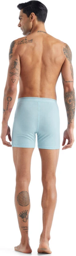 Icebreaker Anatomica Boxers With Fly - Men's|-|Boxeur Avec Ouverture Anatomica - Homme 37 Icebreaker Anatomica Boxers With Fly - Men's|-|Boxeur Avec Ouverture Anatomica - Homme -Icebreaker ICE IB103030 7E 7EBack 20Haze