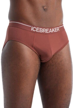 Icebreaker Anatomica Briefs - Men's|-|Caleçon Anatomica - Homme -Icebreaker ICE IB103031 7E 7EFront1 20Grape