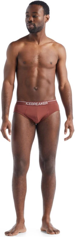 Icebreaker Anatomica Briefs - Men's|-|Caleçon Anatomica - Homme -Icebreaker ICE IB103031 7E 7EFront 20Grape