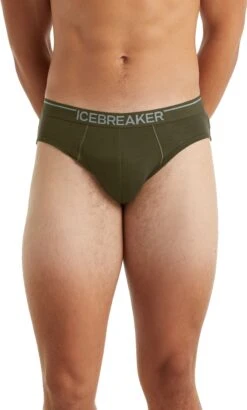 Icebreaker Anatomica Briefs - Men's|-|Caleçon Anatomica - Homme -Icebreaker ICE IB103031 7E 7EFront 20Loden