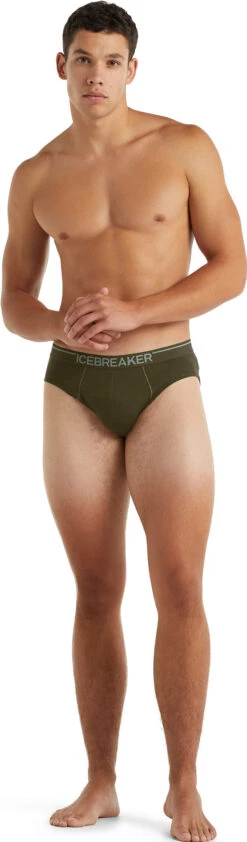 Icebreaker Anatomica Briefs - Men's|-|Caleçon Anatomica - Homme -Icebreaker ICE IB103031 7E 7EStandard 20Outfit 20Loden 7f7da5d8 9f39 48d6 9dc0 cdcf58f20fb9