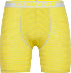 Icebreaker Anatomica Long Boxers - Men's|-|Boxeurs Longs Anatomica - Homme -Icebreaker ICE IB103055 7EEther 20 20Shine 20 20S
