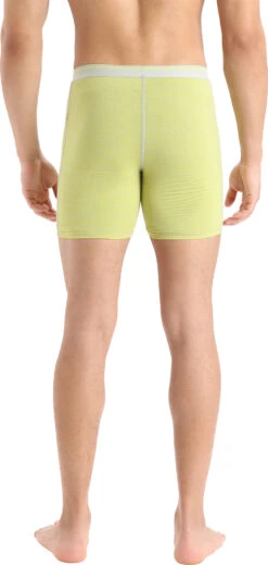 Icebreaker Anatomica Long Boxers - Men's|-|Boxeurs Longs Anatomica - Homme -Icebreaker ICE IB103055 7E 7EBack 20Ether 20 20Shine 20 20S