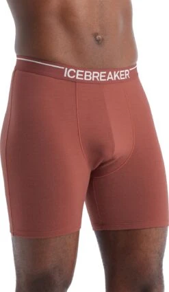 Icebreaker Anatomica Long Boxers - Men's|-|Boxeurs Longs Anatomica - Homme -Icebreaker ICE IB103055 7E 7EFront 20Grape a202f43f 5ea0 49ef 8ce7 fe8521d27ae0