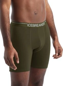 Icebreaker Anatomica Long Boxers - Men's|-|Boxeurs Longs Anatomica - Homme -Icebreaker ICE IB103055 7E 7EFront 20Loden
