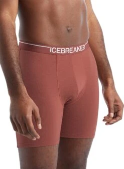 Icebreaker Anatomica Long Boxers - Men's|-|Boxeurs Longs Anatomica - Homme -Icebreaker ICE IB103055 7E 7ESide 20Grape 9c47195d 1bda 4a9f 8089 26210dd82fbe
