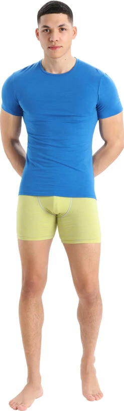 Icebreaker Anatomica Long Boxers - Men's|-|Boxeurs Longs Anatomica - Homme -Icebreaker ICE IB103055 7E 7EStandard 20Outfit 20Ether 20 20Shine 20 20S