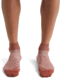 Icebreaker Run+ Ultralight Mini Socks - Men's|-|Bas Run+ Ultralight Mini - Homme -Icebreaker ICE IB104213 7E 7EFront 20Grape 20 20Haze