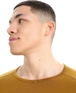 Icebreaker 260 Tech LS Crewe Baselayer - Men's|-|Couche De Base à Manches Longues 260 Tech - Homme -Icebreaker ICE IB104371 7E 7EDetail1 20Clove