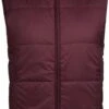 Icebreaker MerinoLoft™ Collingwood Vest - Men's|-|Gilet MerinoLoft™ Collingwood - Homme 1 Icebreaker MerinoLoft™ Collingwood Vest - Men's|-|Gilet MerinoLoft™ Collingwood - Homme -Icebreaker ICE IB104753 7ERedwood