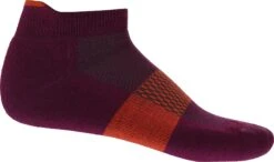 Icebreaker Multisport Light Micro Socks - Men's|-|Bas Multisport Light Micro - Homme -Icebreaker ICE IB105129 7EGo 20Berry 20 20Vibrant 20Earth