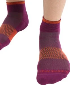 Icebreaker Multisport Light Mini Socks - Men's|-|Bas Multisport Light Mini - Homme 24 Icebreaker Multisport Light Mini Socks - Men's|-|Bas Multisport Light Mini - Homme -Icebreaker ICE IB105132 7E 7EDetail 20Go 20Berry 20 20Vibrant 20Earth