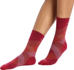 Icebreaker Lifestyle Fine Gauge Dashes Crew Socks - Women's|-|Bas Lifestyle Fine Gauge Dashes Crew - Femme -Icebreaker ICE IB105304 7E 7ESide1 20Cherry 20 20Silent 20Gold 20 20Clove e9a1bd13 e84a 4e5c 9f84 e97b3844cfe4