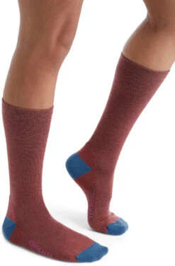 Icebreaker City Lite Crew Socks - Women's|-|Chaussettes City Lite Crew - Femme 19 Icebreaker City Lite Crew Socks - Women's|-|Chaussettes City Lite Crew - Femme -Icebreaker ICE IBN313 7E 7ESide 20Grape 20 20Azul 20 20Cosmic