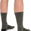 Icebreaker Hike+ Light Crew Socks - Men's|-|Bas Hike+ Light Crew - Homme -Icebreaker ice ib105103 s2 loden