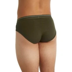 Icebreaker Anatomica Briefs Men - Loden 10 Icebreaker Anatomica Briefs Men - Loden -Icebreaker icebreaker anatomica slip para hombre loden 3 1037503