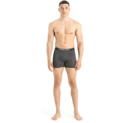 Icebreaker Anatomica Boxers Men - Jet HTHR -Icebreaker icebreaker mens anatomica boxers jet hthr 3 1553958