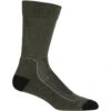 Icebreaker Hike+ Light Crew Socks Men - Loden/Black/Gritstone Hthr