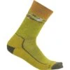 Icebreaker Hike+ Medium Crew Sedimentary Socks Men - Bio Lime/Loden/Solar
