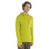 Icebreaker Quantum III Long Sleeve Zip Hood Midlayer Men - Bio Lime/Loden -Icebreaker icebreaker mens quantum iii long sleeve zip hood midlayer bio lime loden model 1 1498878