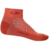 Icebreaker Run+ Ultralight Mini Socks Men - Vibrant Earth/Go Berry