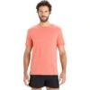 Icebreaker Sphere II Short Sleeve Tee Men - Vibrant Earth Hthr -Icebreaker icebreaker mens sphere ii short sleeve tee vibrant earth hthr 3 1382159